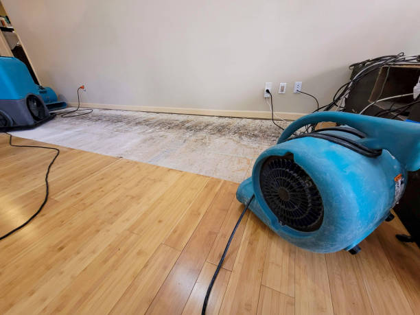 Professional Structural Drying technician working in Riverside, WA